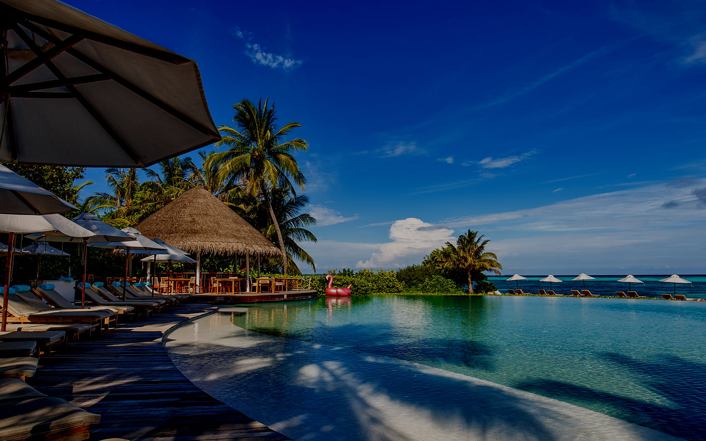 DVCタイムシェアサポートジャパンのメインビジュアル